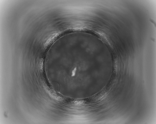 X0000100920495200807011310