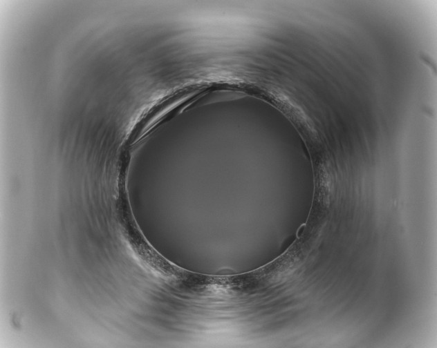 X0000100920496200807011310