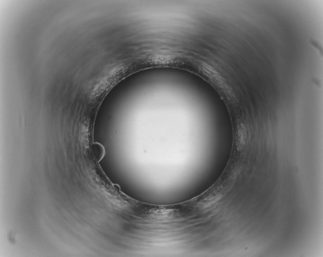 X0000100920497200807011310