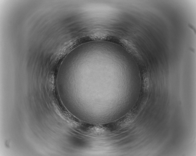 X0000100920498200807011310