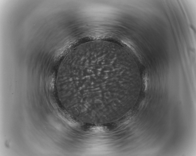 X0000100920499200807011310