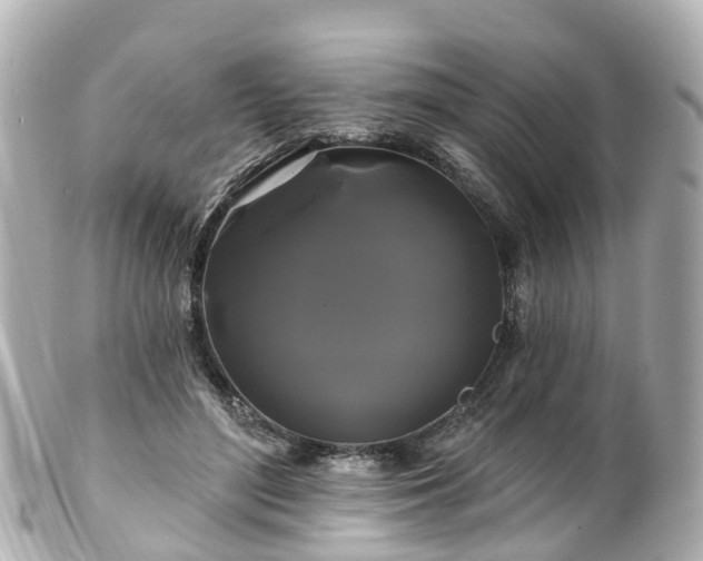 X0000100920500200807011310