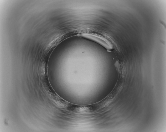 X0000100920501200807011310