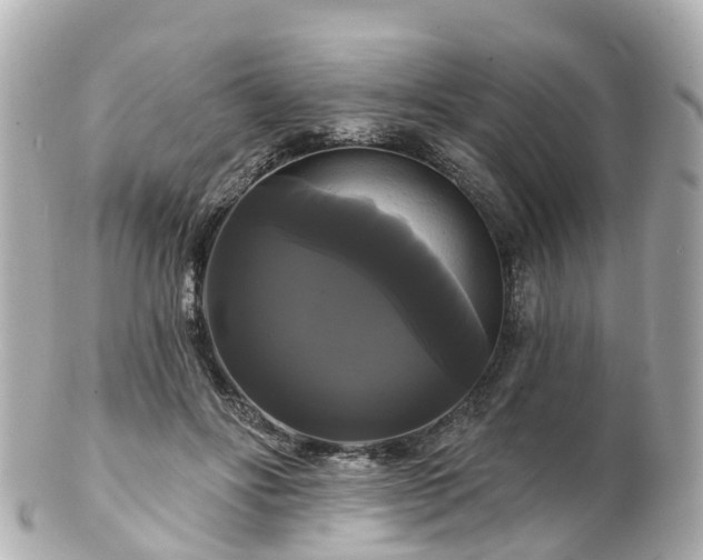 X0000100920502200807011310