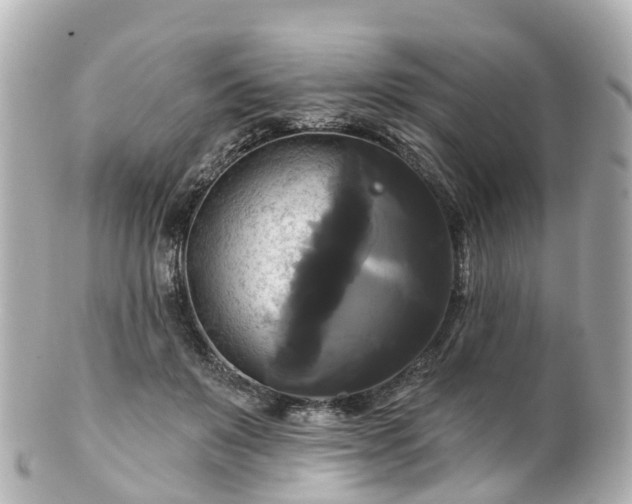 X0000100920503200807011310