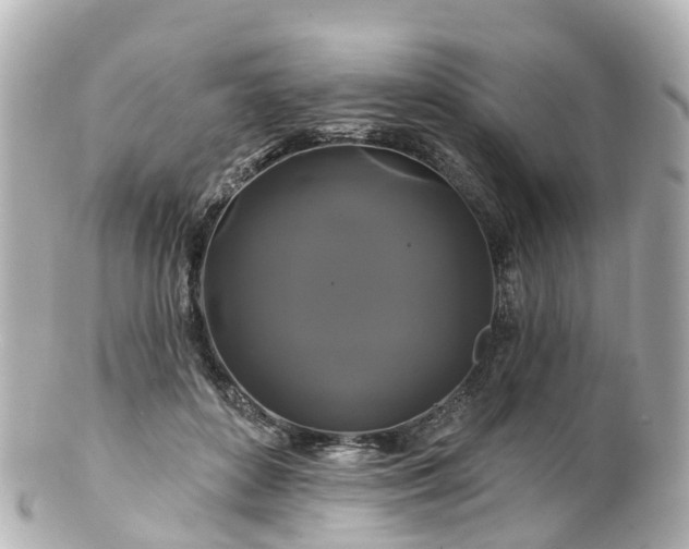 X0000100920504200807011310