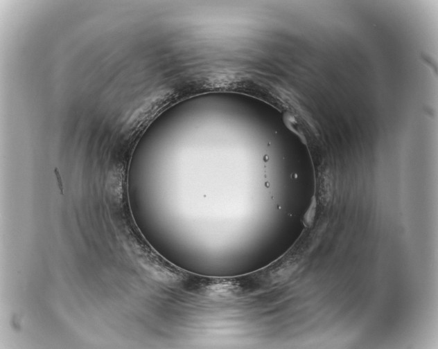 X0000100920505200807011310