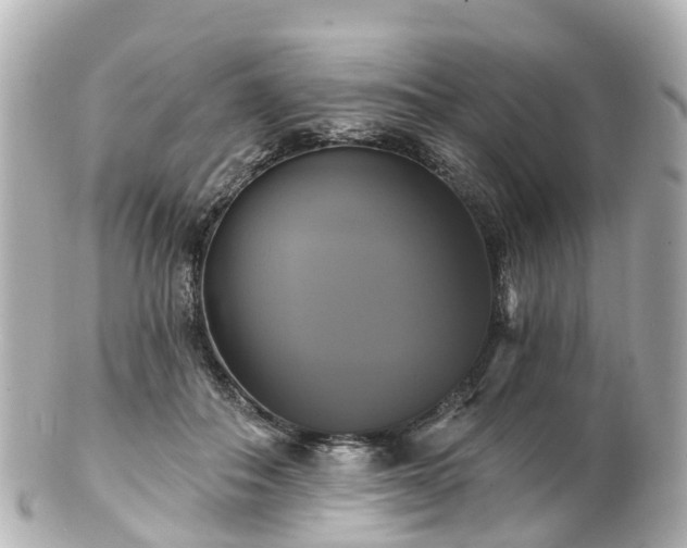 X0000100920506200807011310