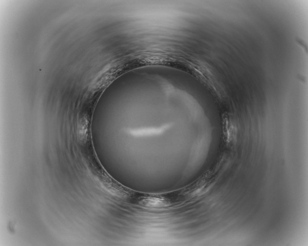 X0000100920507200807011310