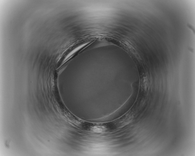 X0000100920508200807011310