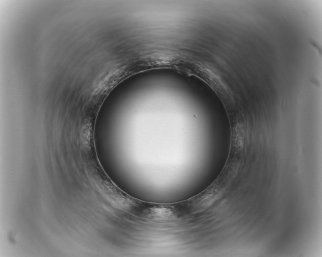 X0000100920509200807011309