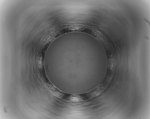 X0000100920510200807011309