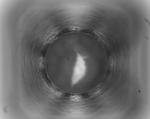 X0000100920511200807011309