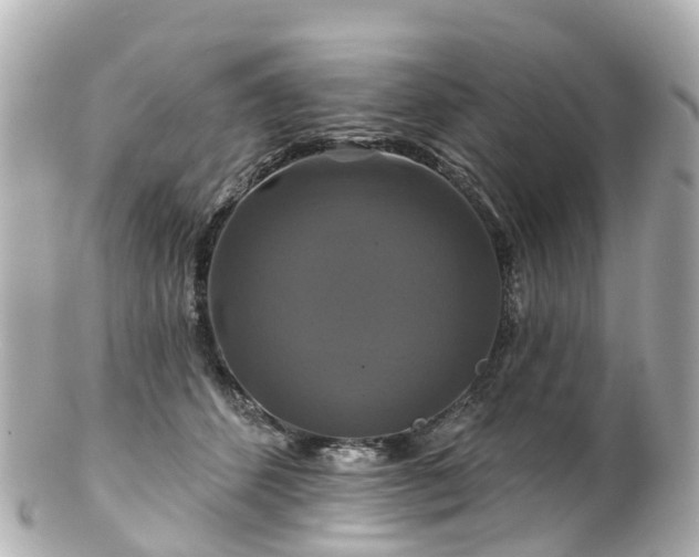 X0000100920512200807011309