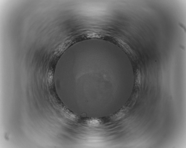 X0000100920513200807011309