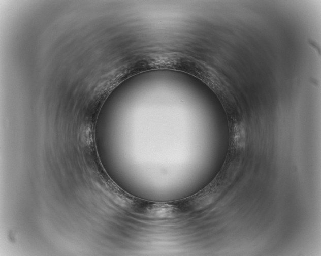 X0000100920514200807011309