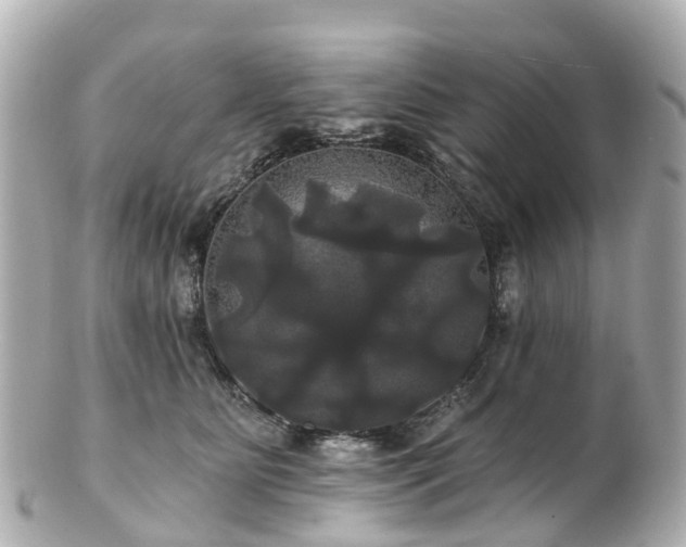 X0000100920515200807011309