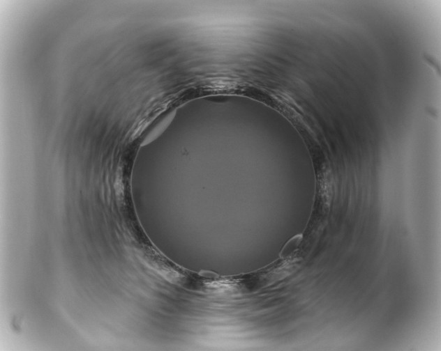 X0000100920516200807011309