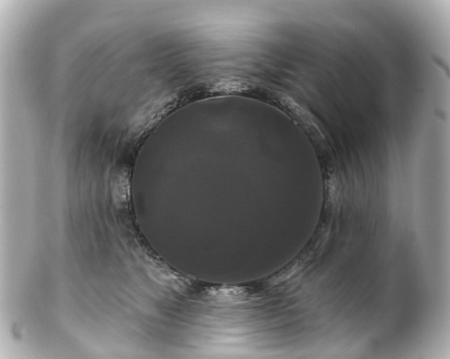 X0000100920517200807011309