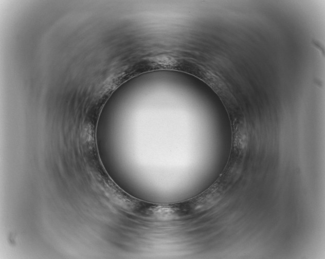 X0000100920518200807011309