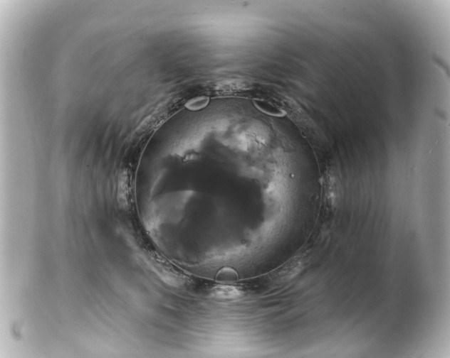 X0000100920519200807011309