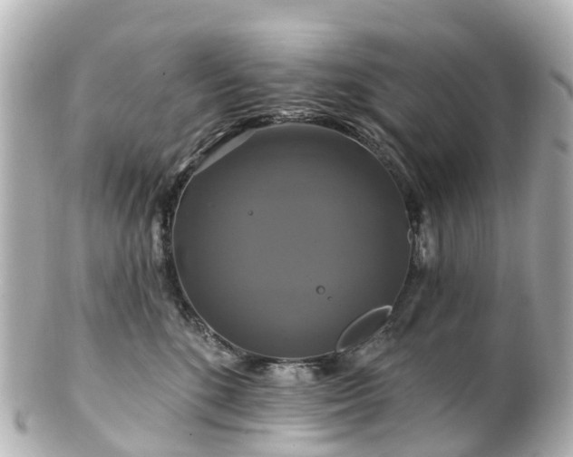 X0000100920520200807011309