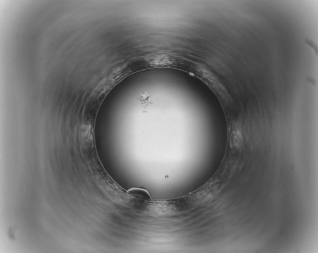 X0000100920521200807011309