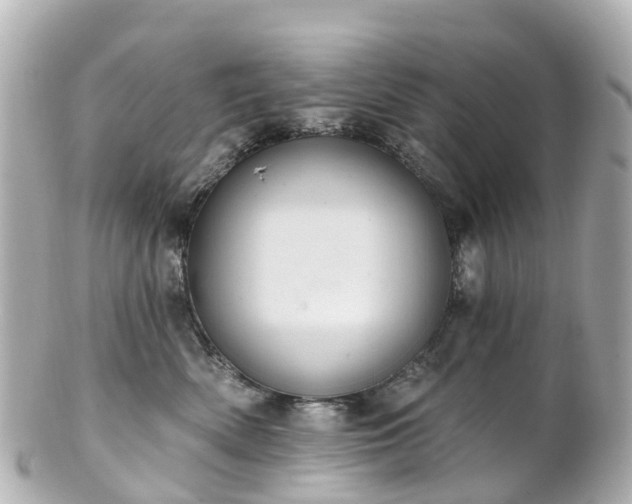 X0000100920522200807011309