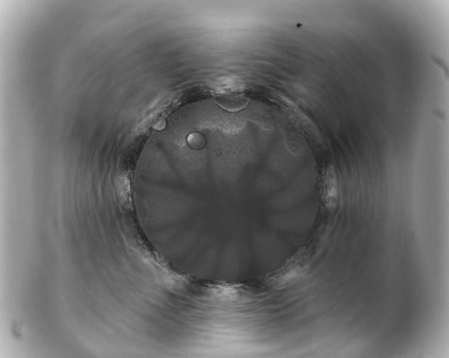 X0000100920523200807011309