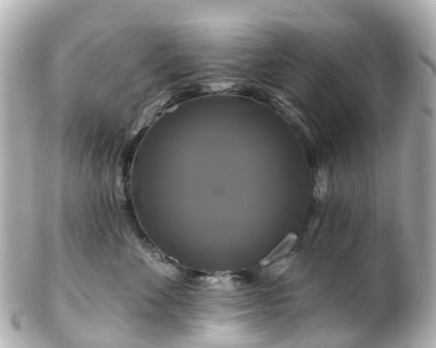 X0000100920524200807011309