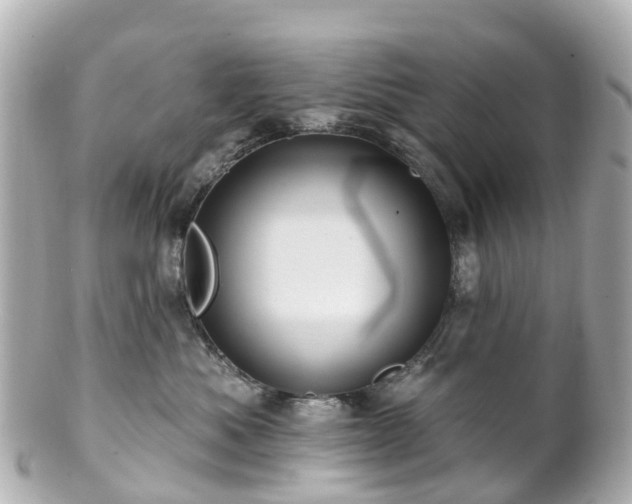 X0000100920525200807011309