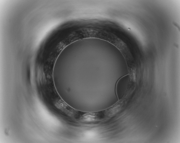 X0000100920526200807011309