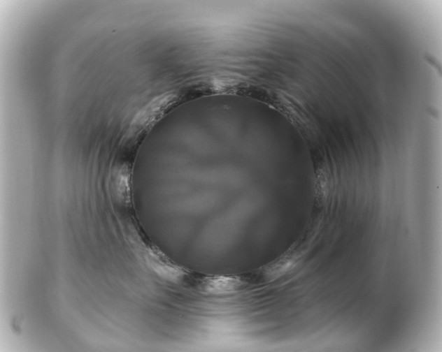 X0000100920527200807011309