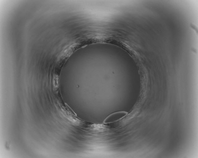 X0000100920528200807011309