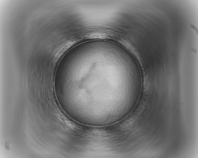 X0000100920529200807011309