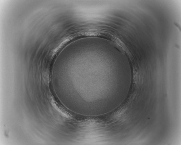 X0000100920530200807011309