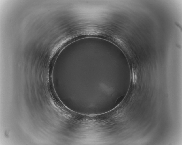 X0000100920531200807011309