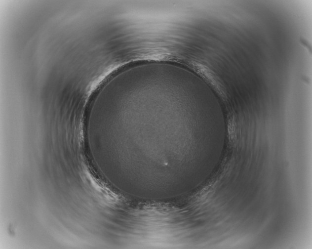 X0000100920532200807011309