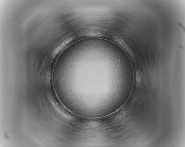 X0000100920533200807011309