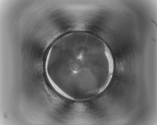 X0000100920534200807011309