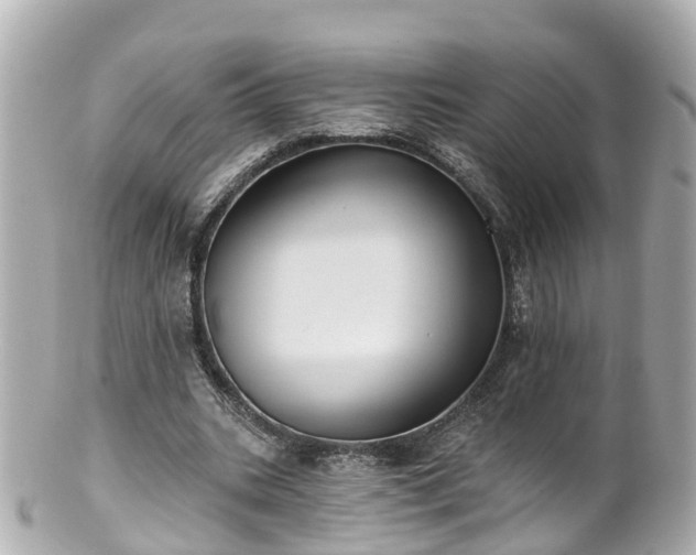 X0000100920535200807011309