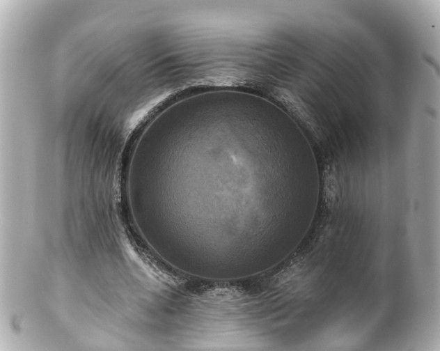 X0000100920536200807011309