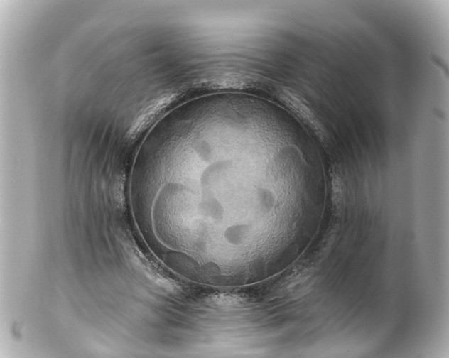 X0000100920537200807011309