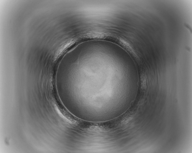 X0000100920538200807011309