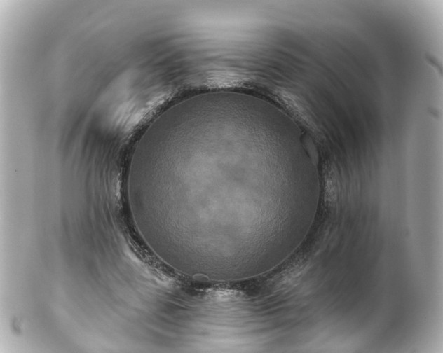 X0000100920539200807011309