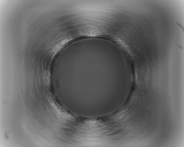 X0000100920540200807011309