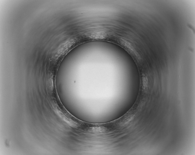 X0000100920541200807011309