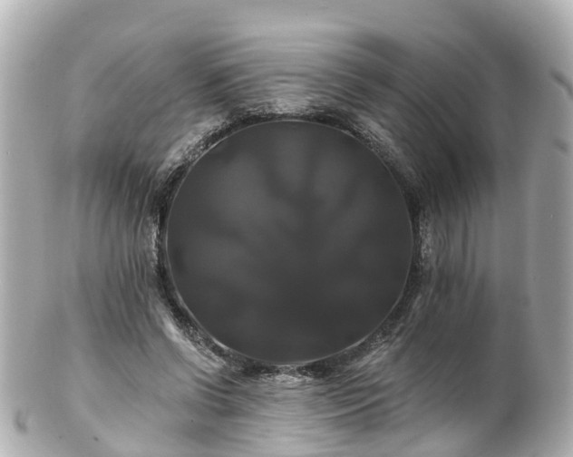 X0000100920542200807011309