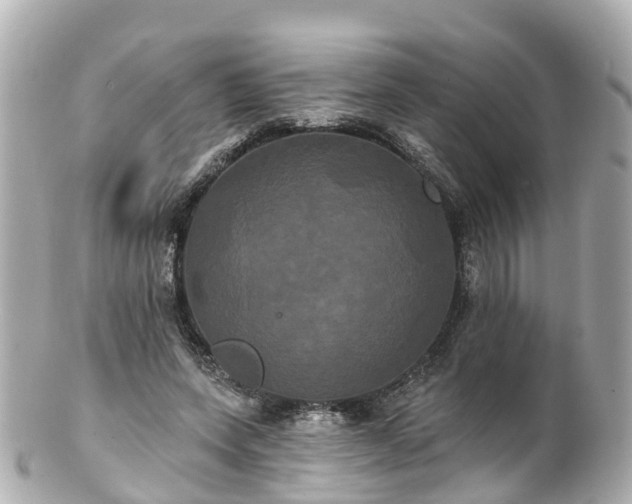 X0000100920543200807011309