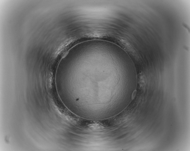 X0000100920544200807011309